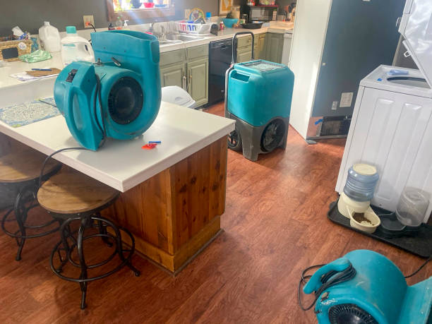 Best Water damage contractors near me  in Wise, VA
