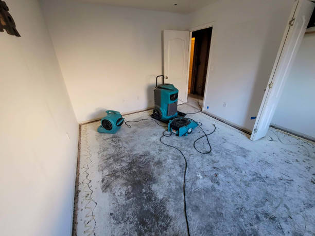 Best Local water damage restoration  in Wise, VA